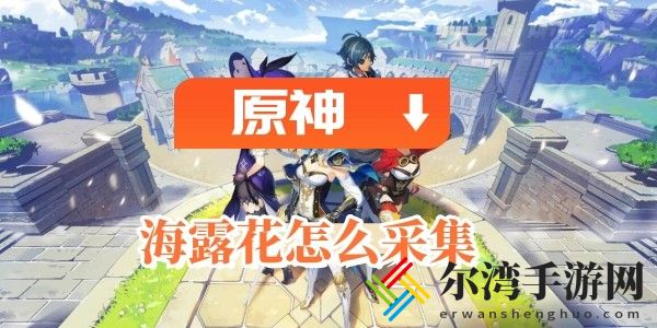 原神海露花怎么采集