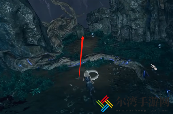 博德之门3狗项圈在哪