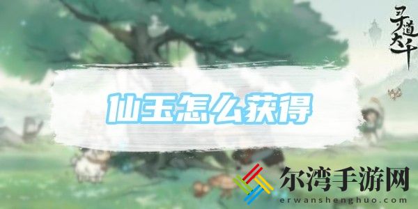 寻道大千仙玉怎么获得