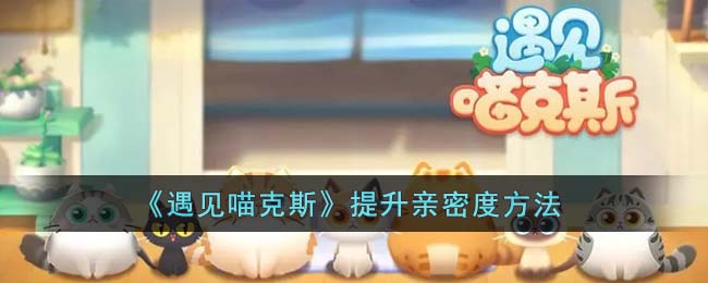 遇见喵克斯怎么提升亲密度