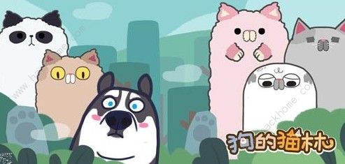 狗的猫林转世有什么用 转世作用详解[视频]
