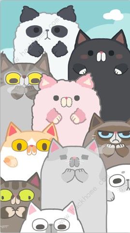 狗的猫林转世有什么用 转世作用详解[视频]